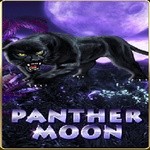 Panther Moon