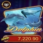 Dolphin