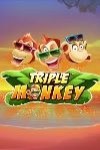 Triple Monkey