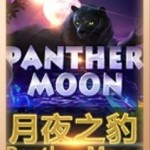 Panther Moon