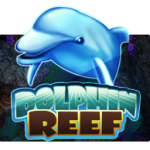 Dolphin Reef