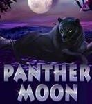 Panther Moon